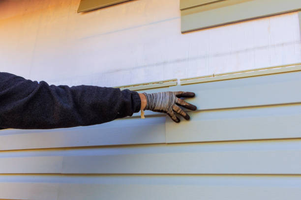 Best Custom Siding Design  in Valley Springs, CA